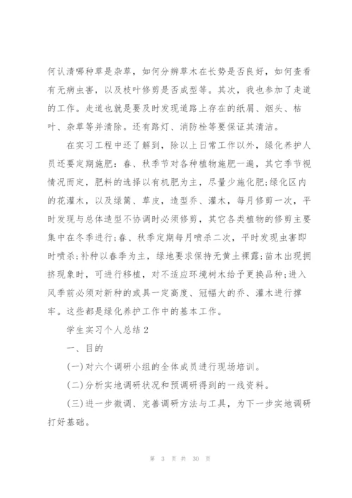 学生实习个人总结.docx