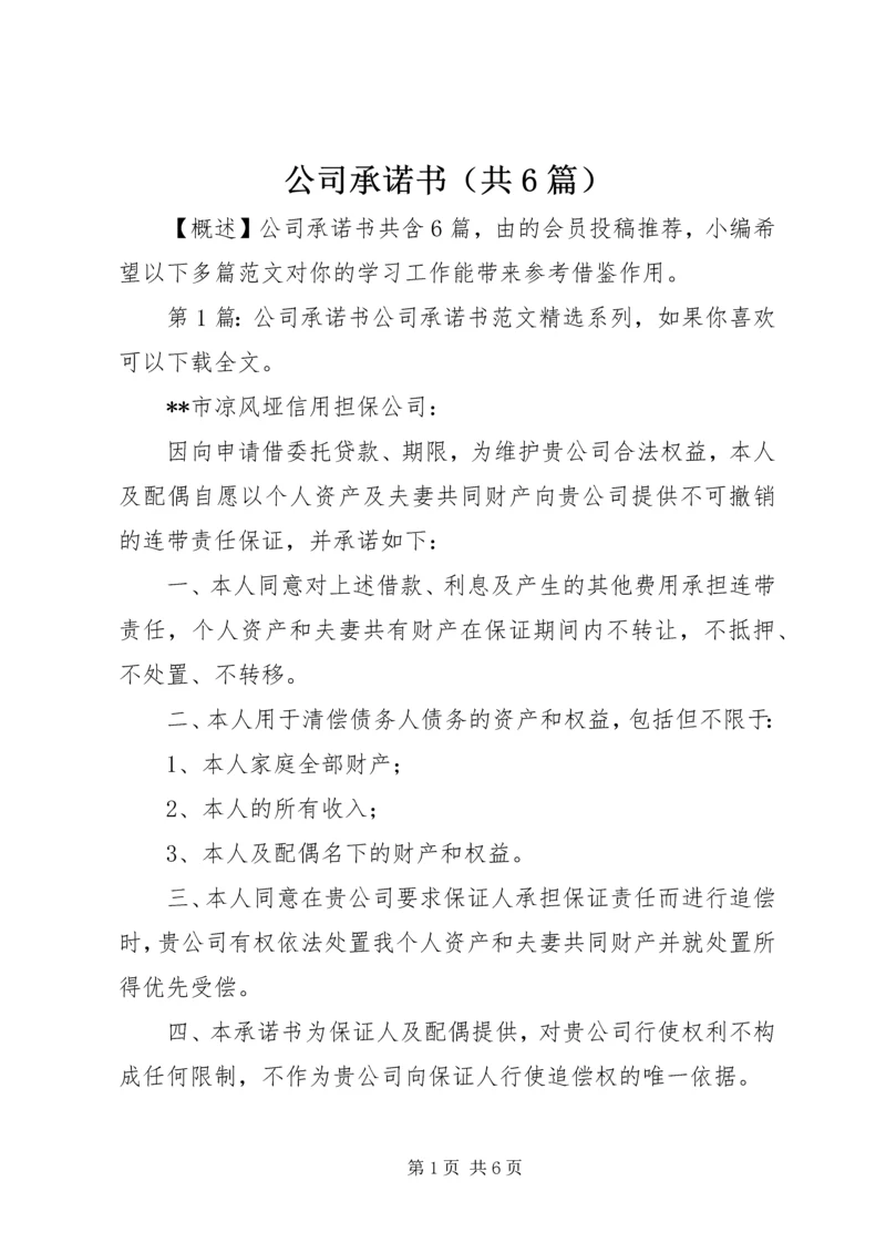 公司承诺书（共6篇）.docx