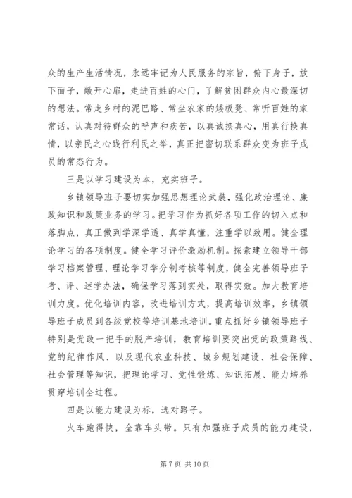 政治建设专题之乡镇领导班子思想政治建设情况报告.docx