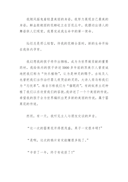 禁毒征文800字(精选6篇).docx