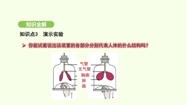 第四单元-第三章-第二节-发生在肺内的气体交换（第1课时）课件-2024-2025学年七年级生物下学