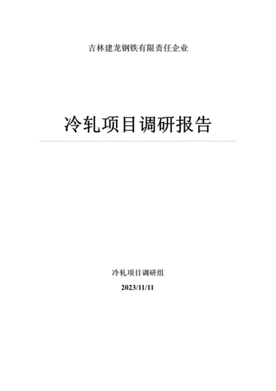 公司冷轧项目调研报告.docx