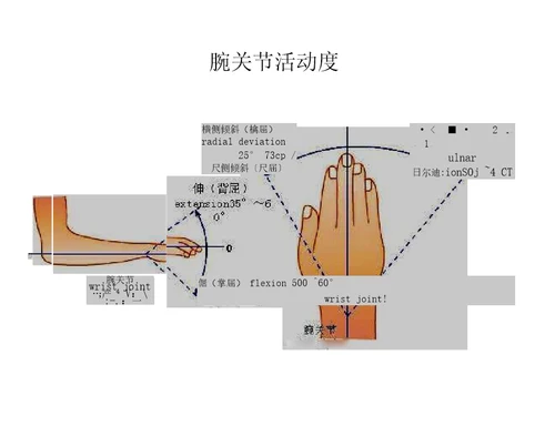 关节活动度记录方法