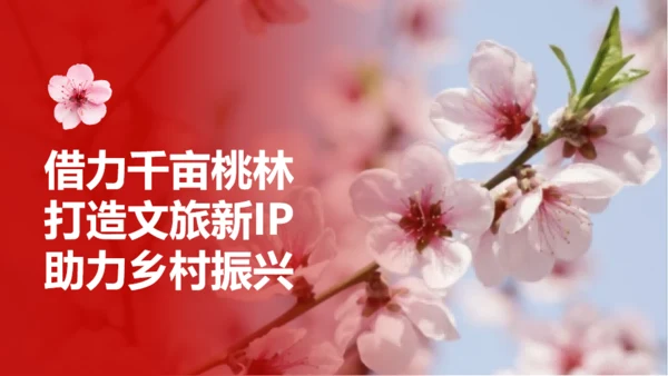 小镇桃花节策划方案通用PPT