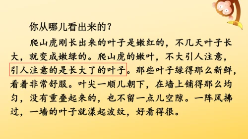 10 爬山虎的脚   课件