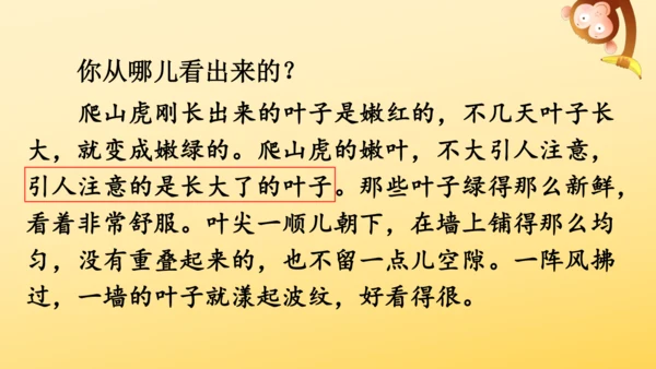 10 爬山虎的脚   课件