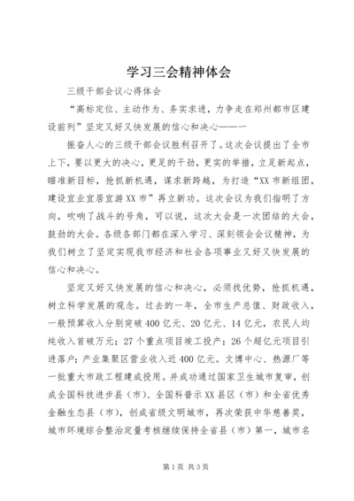 学习三会精神体会 (3).docx