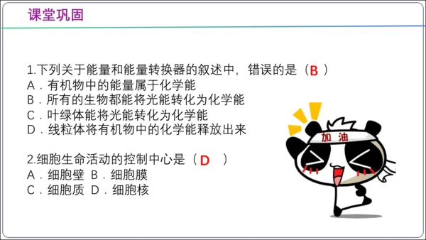 【2023秋人教七上生物期中复习考点梳理串讲+临考押题】第一章 细胞是生命活动的基本单位（串讲课件）