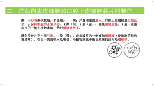 【2023秋人教七上生物期中复习考点梳理串讲+临考押题】第一章 细胞是生命活动的基本单位（串讲课件）