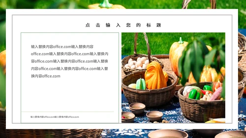 果蔬农产品工作总结农户农业通用PPT模板