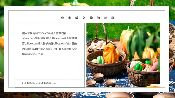 果蔬农产品工作总结农户农业通用PPT模板