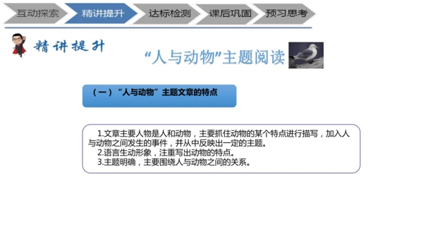 七年级上册《鸟》+“人与动物”教学设计PPT