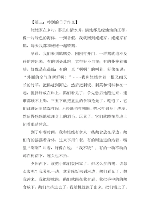 特别的日子作文600字-6.docx