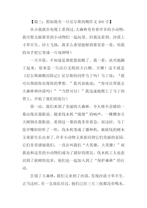 假如我有一只尼尔斯的鹅作文400字-1.docx