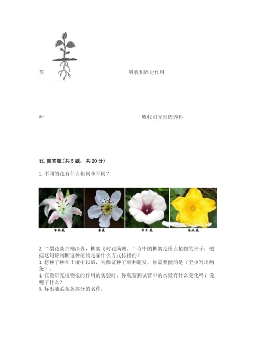 科学四年级下册第一单元《植物的生长变化》测试卷及完整答案【典优】.docx