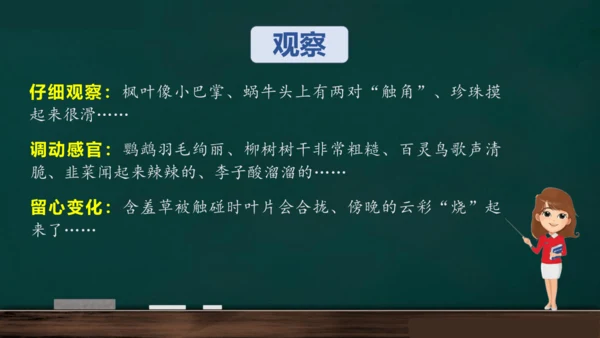 统编版语文三年级上册 第五单元习作： 我们眼中的缤纷世界课件