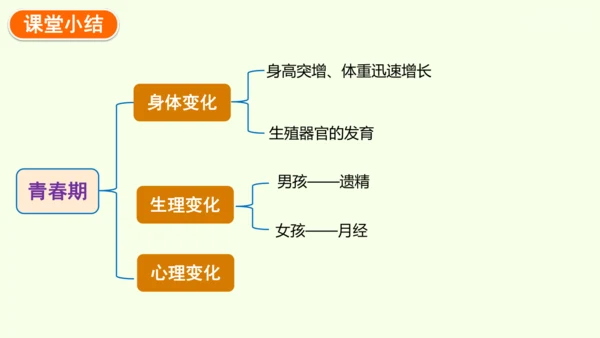4.1.2 青春期-七年级生物下学期同步精品课件（2024人教版）(共27张PPT)