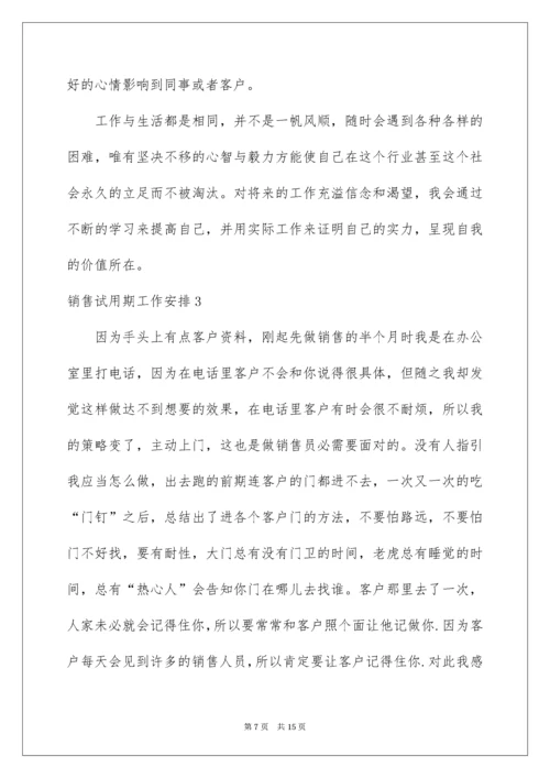 销售试用期工作计划.docx