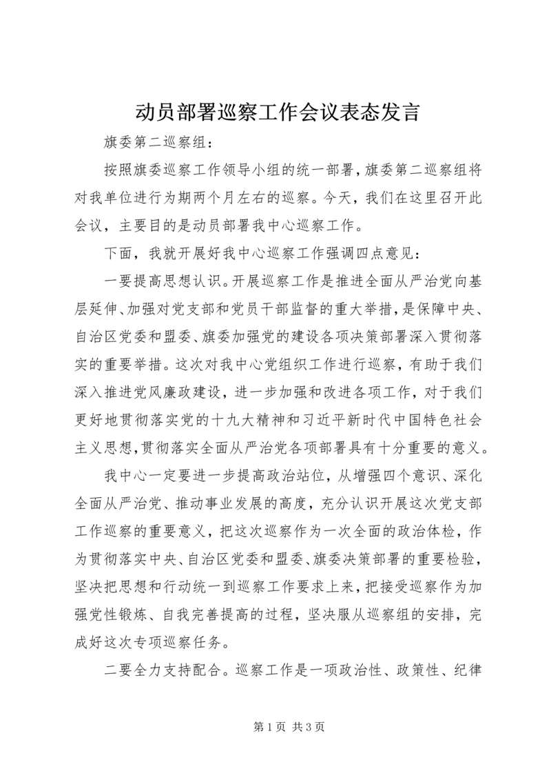 动员部署巡察工作会议表态发言.docx