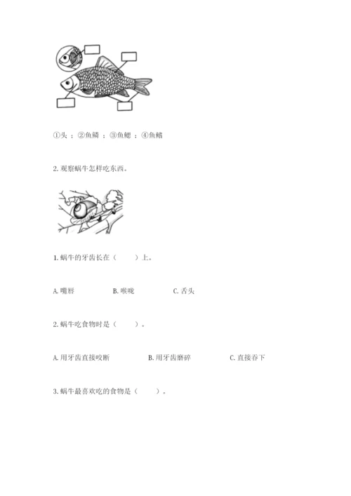 教科版一年级下册科学期末测试卷【必刷】.docx