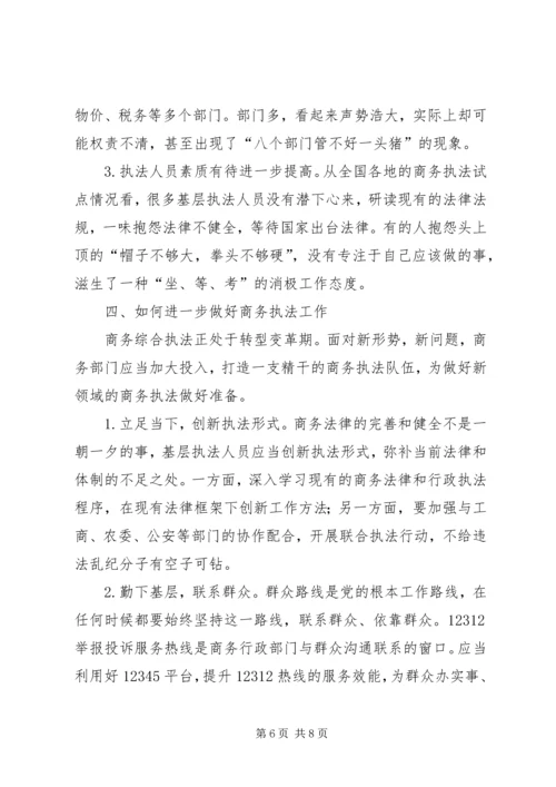 商务执法工作调研报告范文.docx