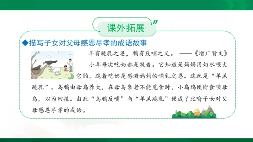 11 爸爸妈妈在我心中 课件（共33张PPT）