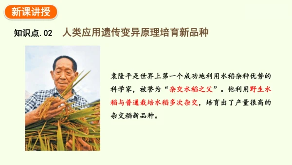 7.2.5生物的变异-八年级生物人教版下学期同步精品课件(共34张PPT)