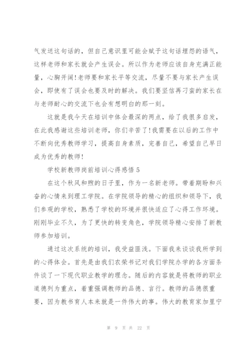 学校新教师岗前培训心得感悟范文10篇.docx