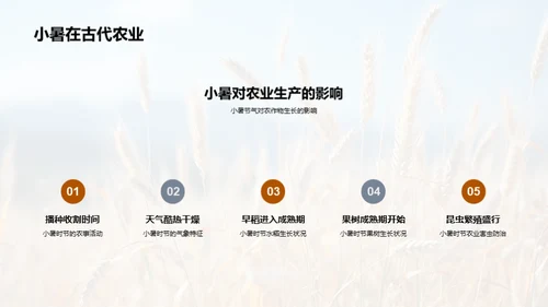 小暑节气深解