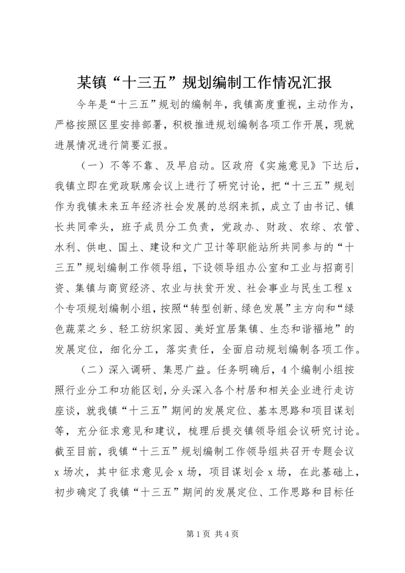 某镇“十三五”规划编制工作情况汇报.docx