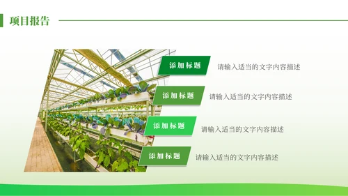 绿色发展生态农业项目报告通用PPT模板