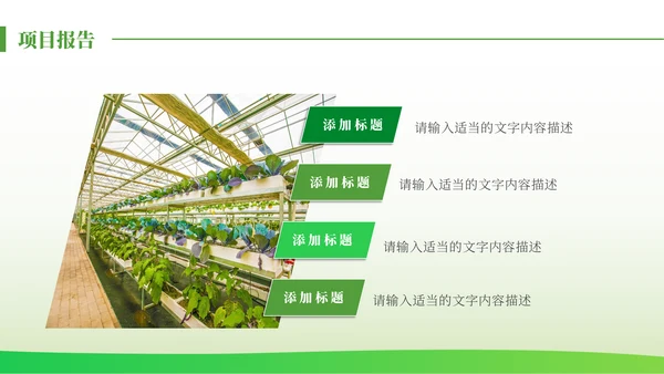 绿色发展生态农业项目报告通用PPT模板