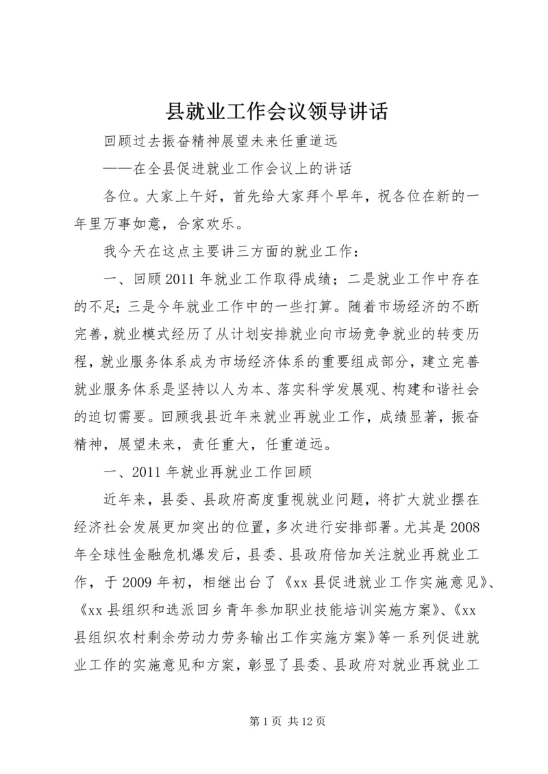 县就业工作会议领导讲话.docx