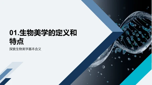 生物美学在科技中的应用