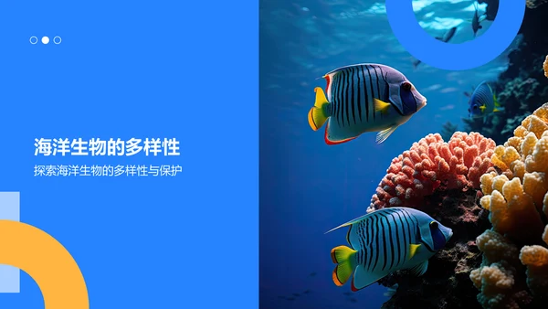 蓝色摄影风海洋生物知识科普PPT模板