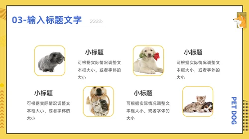 宠物医院宠物项目介绍狗狗秋田犬通用PPT模板
