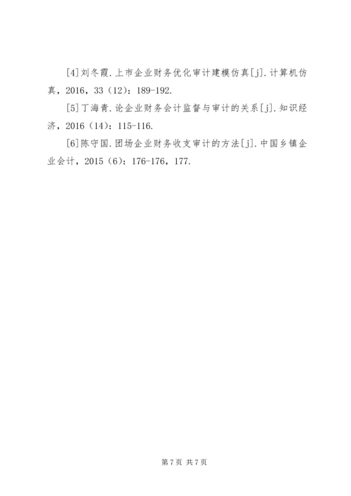 企业财务审计及决策信息化.docx