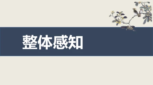 部编版九下语文第六单元课外古诗之《南安军》 同步课件