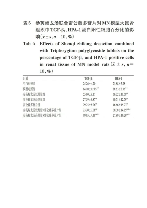 参芪蛭龙汤联合雷公藤多苷片对膜性肾病模型大鼠保护作用的实验研究.docx