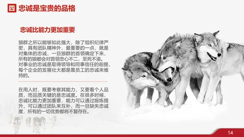 狼性文化企业培训PPT模板