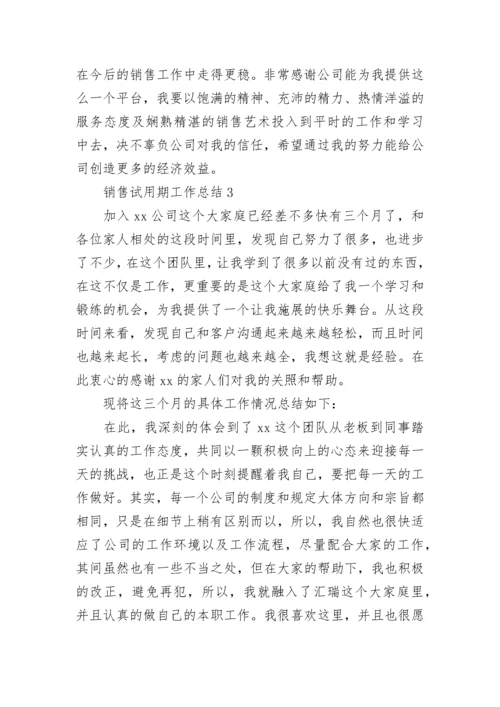 销售试用期工作总结.docx