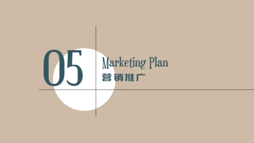 中年女性服装品牌营销策划通用PPT