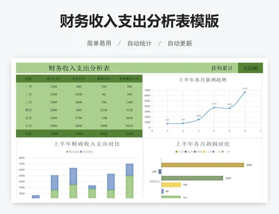 财务收入支出分析表模版