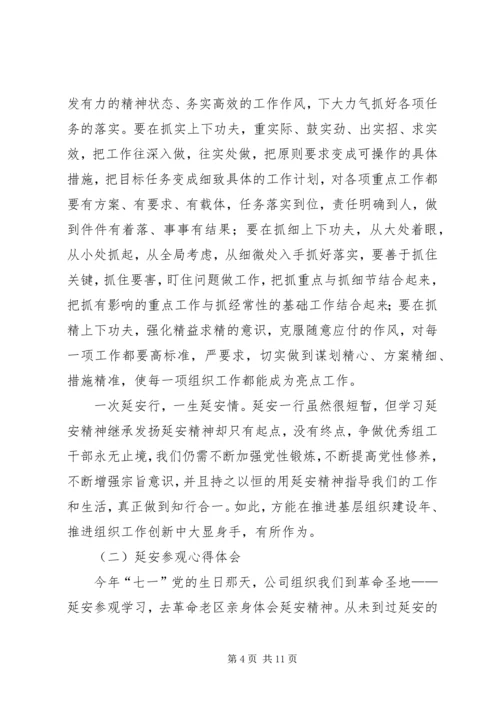 延安精神体会范文.docx