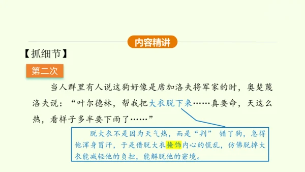 第6课 变色龙 课件(共38张PPT)-【课堂无忧】新课标同步核心素养课堂