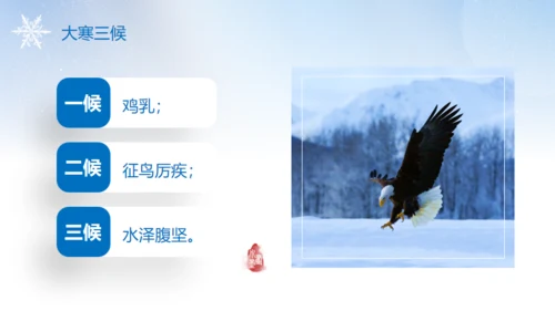 大寒节气冬天背景通用PPT模板