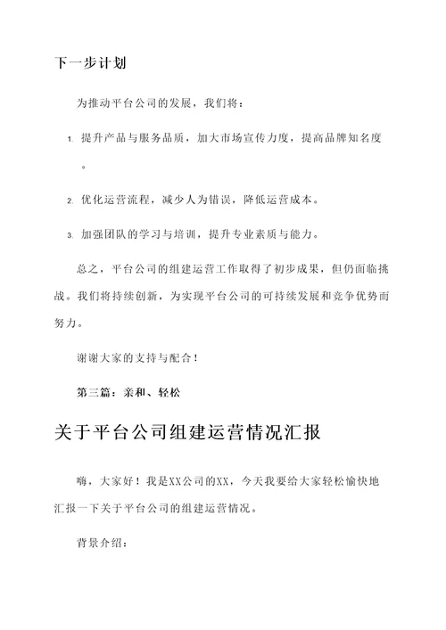 关于平台公司组建运营情况汇报