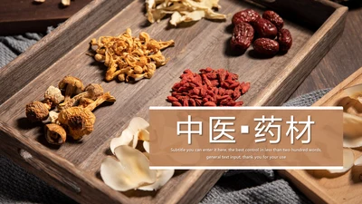 传统中国风养生食疗药膳食补PPT模板