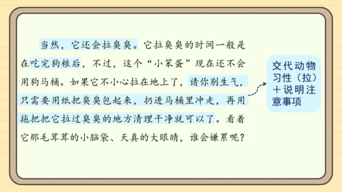 统编版语文四年级下册习作：我的动物朋友（课件）