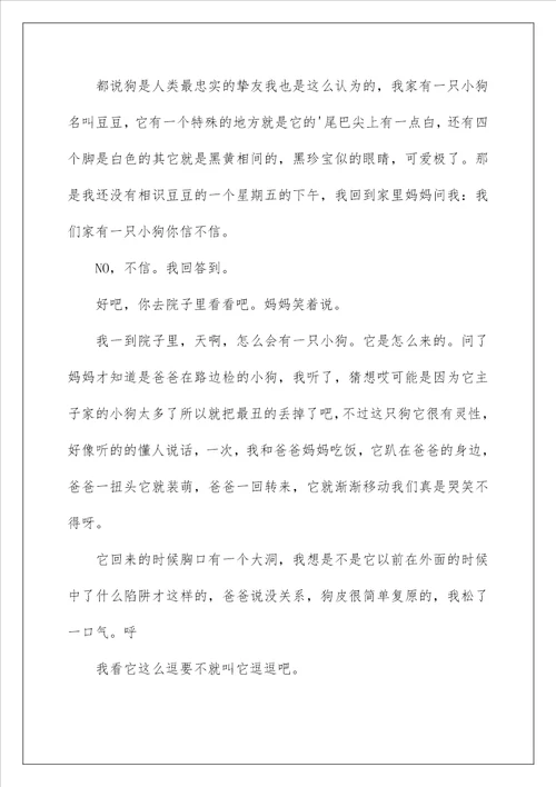 2022写物作文300字65